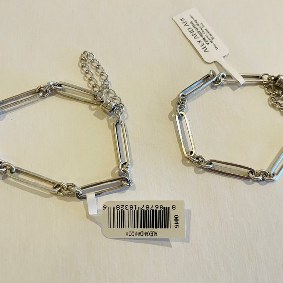 Set of two ALEX AND ANI Mini Maven Chain Magnetic Bracelets, Rafaelian Silver - Picture 13 of 13